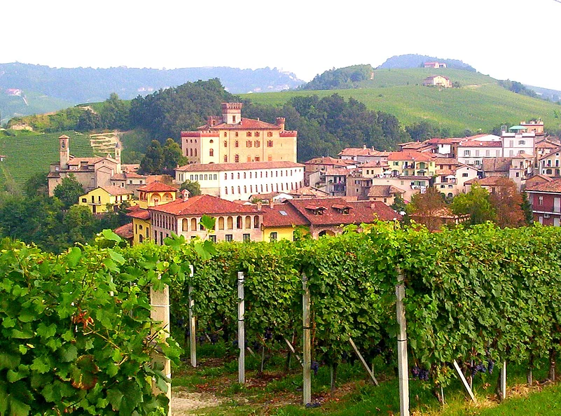 Take a wine tour in Barolo