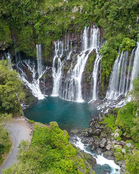 Réunion National Park Forests