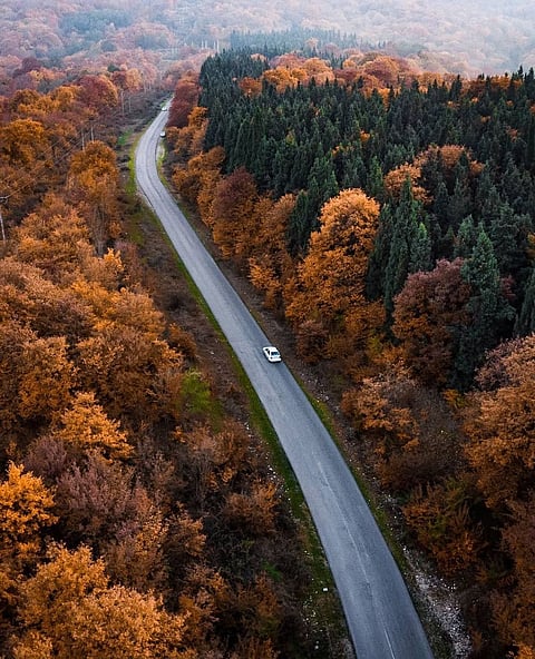 Road through Hyrcanian Forests