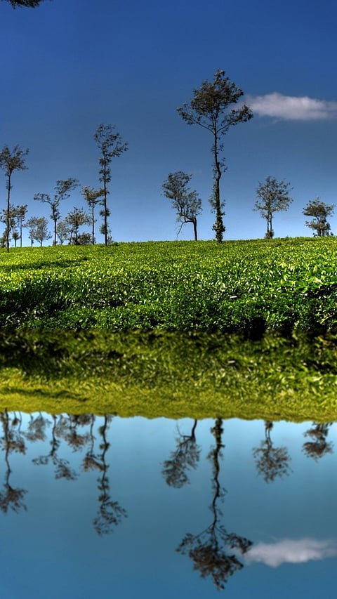Coorg, Karnataka