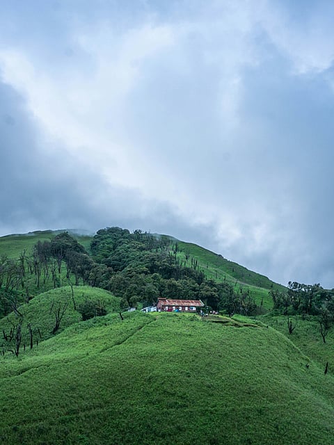 Dzukou Valley, Nagaland
