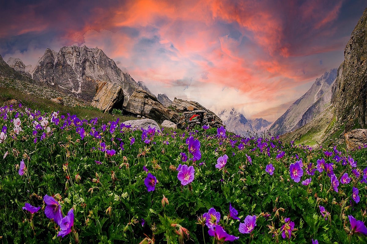 The valley is also recognised for its ecological importance, supporting a range of protected wildlife and high-altitude habitats 
