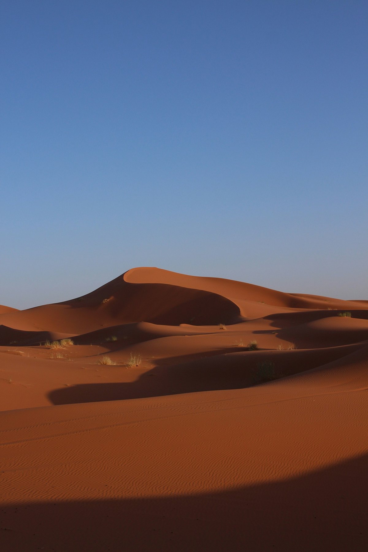 Unsplash : A bit of Sahara