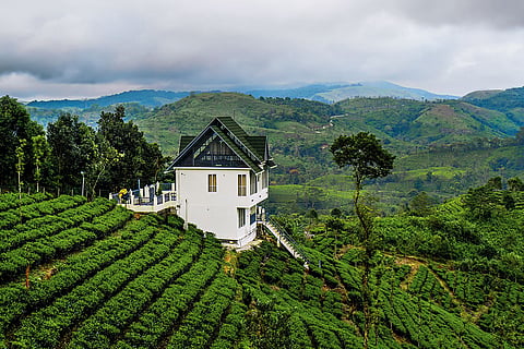 Vagamon greets travellers with greenery