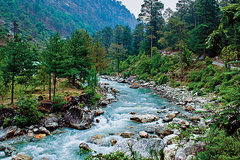 Enjoy the beauty of cedar and pine forests at Tirthan Valley