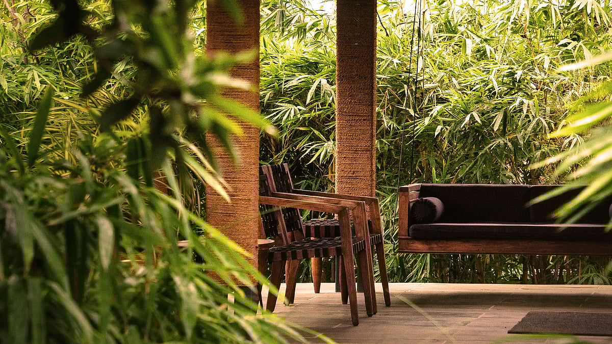 The swing on the porch became my favourite place to unwind