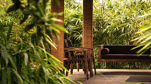 The swing on the porch became my favourite place to unwind