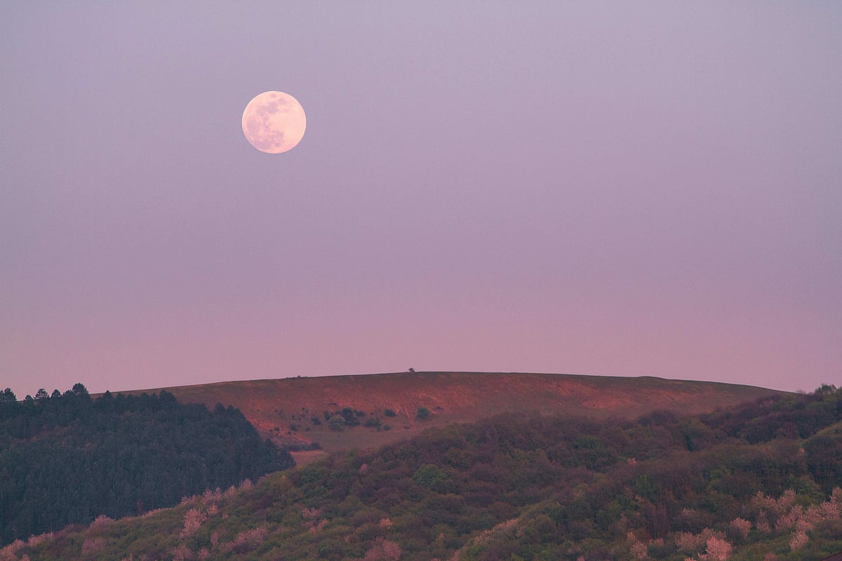 Unsplash : Despite its name, the Pink Moon does not appear pink; the name comes from spring wildflowers that bloom around this time