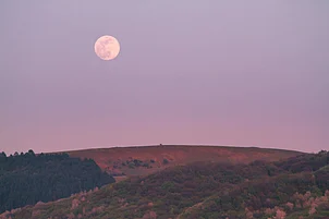Unsplash : Despite its name, the Pink Moon does not appear pink; the name comes from spring wildflowers that bloom around this time