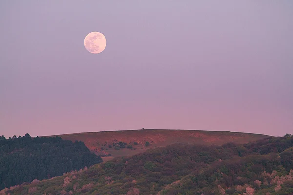 Unsplash : Despite its name, the Pink Moon does not appear pink; the name comes from spring wildflowers that bloom around this time