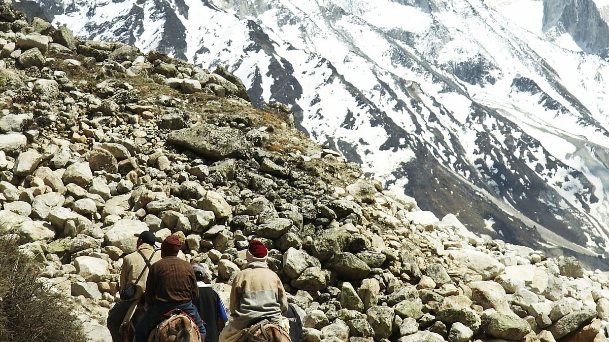 A scene unfolds at the Gangotri National Park