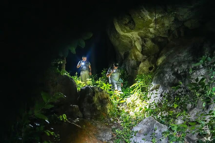 Dr Lee Grismer and Dr Evan S.H. Quah (researchers at Fauna & Flora) descending into a karst cave, Battambang, Cambodia