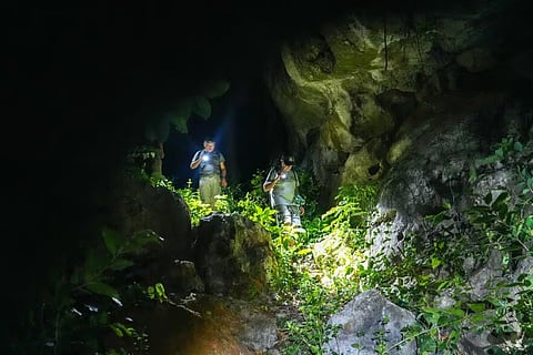 Dr Lee Grismer and Dr Evan S.H. Quah (researchers at Fauna & Flora) descending into a karst cave, Battambang, Cambodia