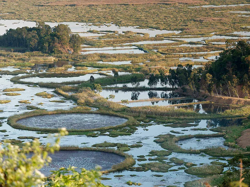 Close-up view of phumdis
