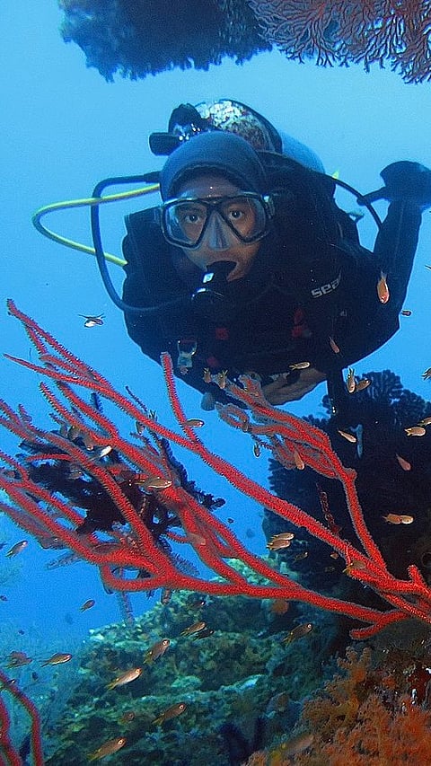 Underwater in Raja Ampat