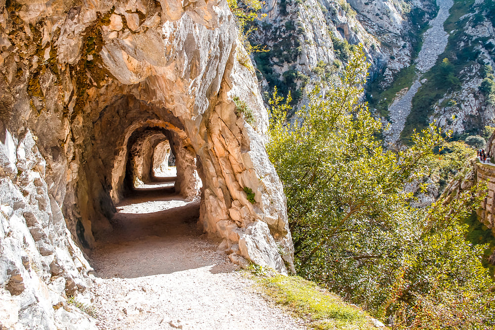 The gently graded paths of the Senda del Oso/ “Bear Trail“ wind through scenic landscapes, old viaducts, and tunnels