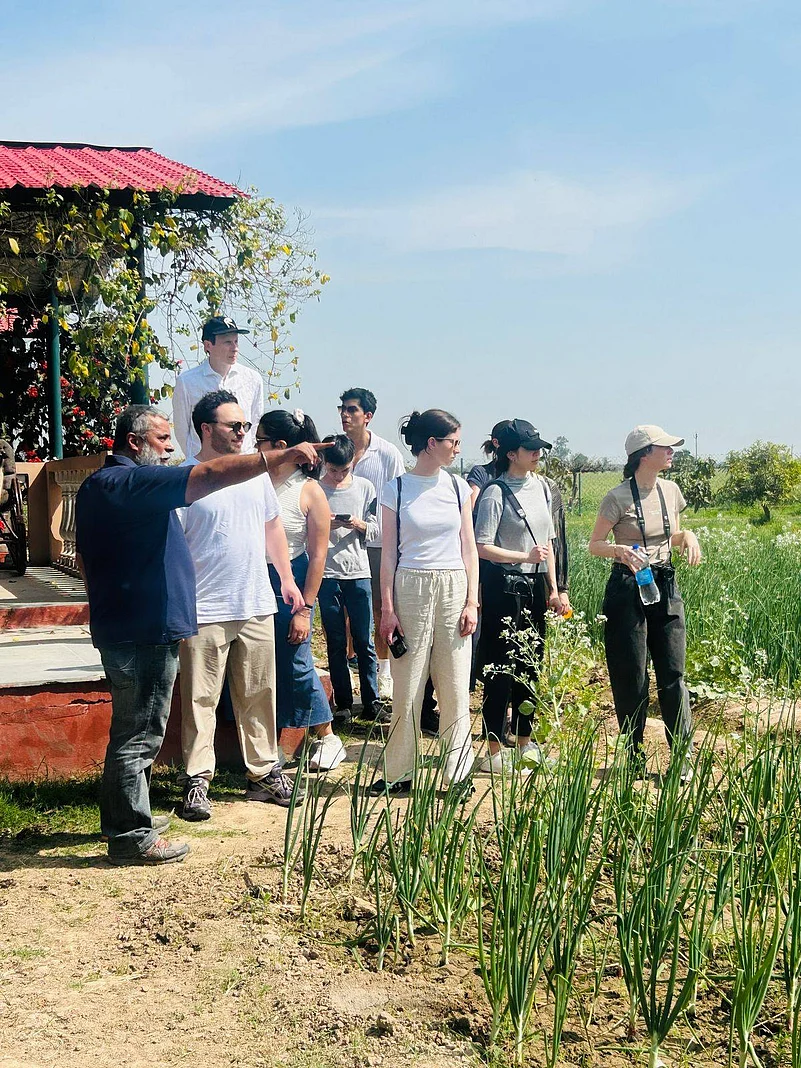 Walking through the fields with guests.