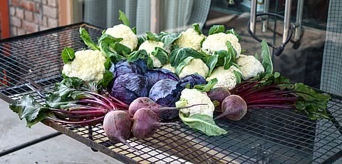 Fresh vegetables straight from the farm.