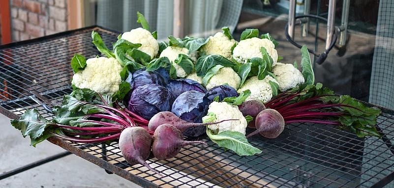 Fresh vegetables straight from the farm.