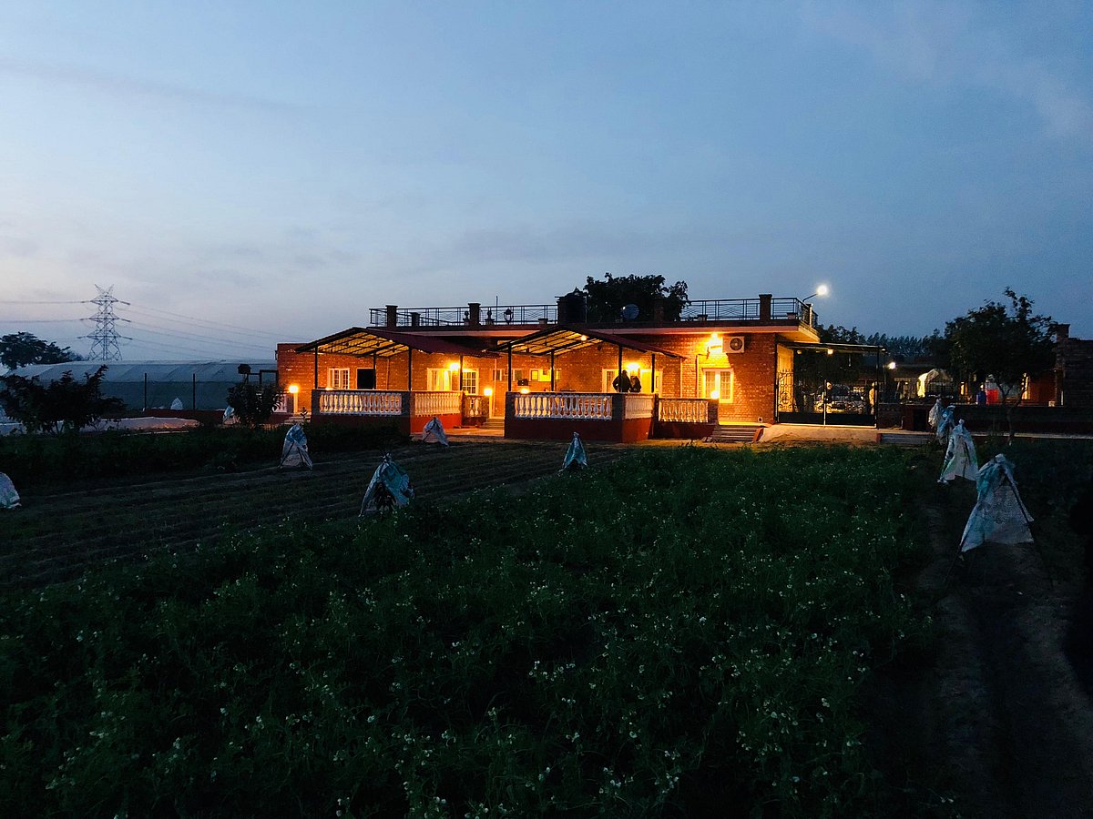 Hansali Organic Farm : Hansali Organic Farm