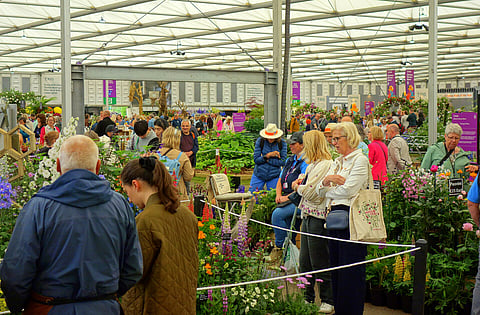 Crowds at the Chelsea Flower Show in London
