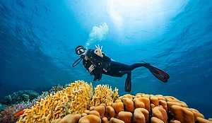 Shutterstock : A scuba diver (representational image)