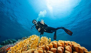 Shutterstock : A scuba diver (representational image)