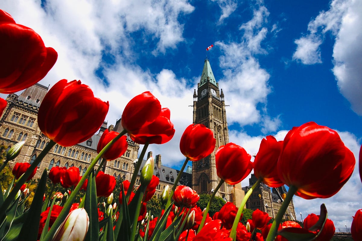 Tulip festival in Ottawa