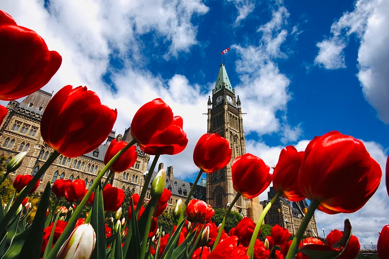 Tulip festival in Ottawa