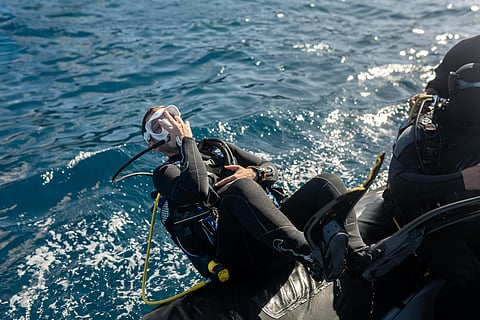 A diver preparing to descend into the depths (representational image)