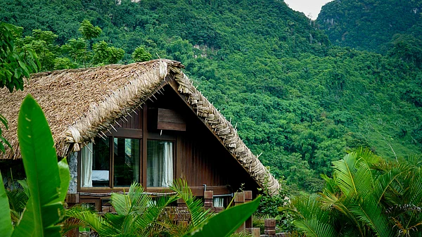 Unsplash : Where sustainability meets stillness, these eco lodges offer a deeper, more conscious way to experience the wild