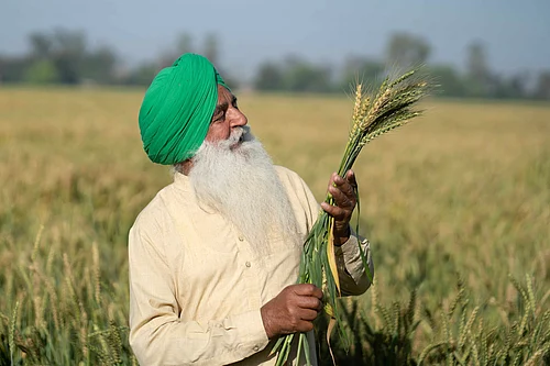 Baisakhi 2026: When, How, And Where To Celebrate The Festival?