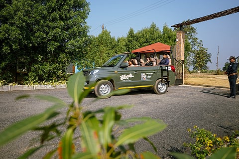 Go on a safari during your stay at Tathastu Satpura