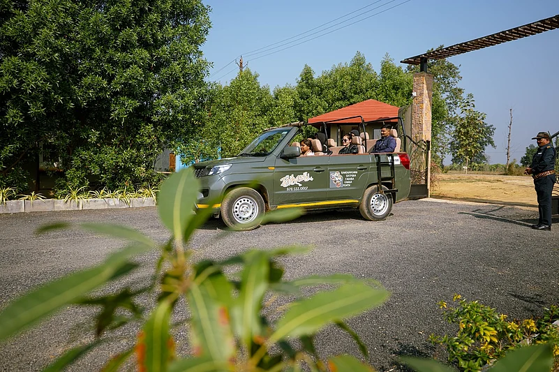 Go on a safari during your stay at Tathastu Satpura