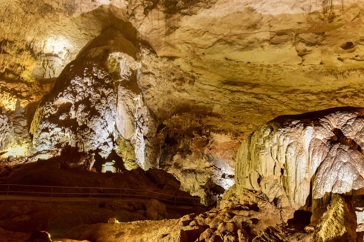 Camuy River Cave System, Puerto Rico