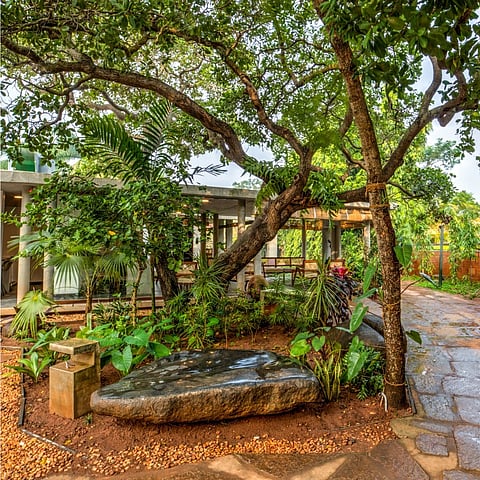 Sanctuary Amaidiyana is an expression of mindful architecture 