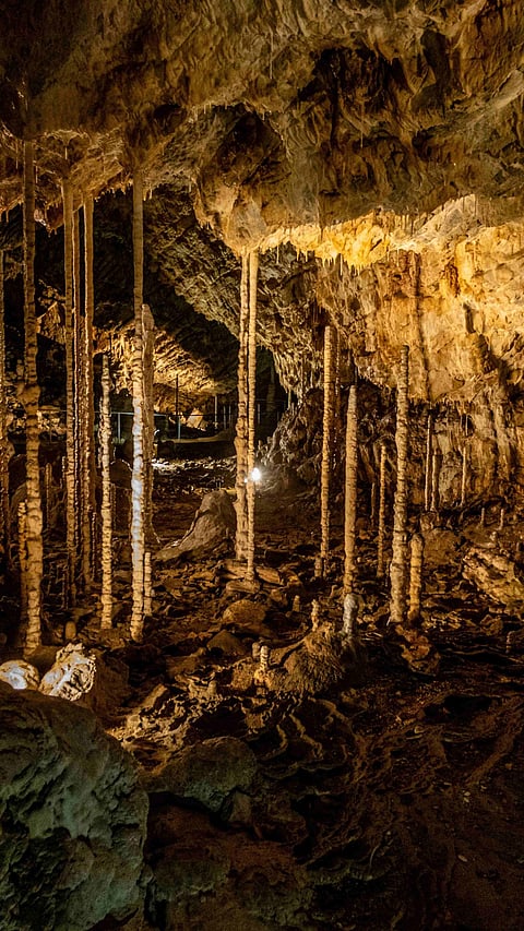 Punkva Caves