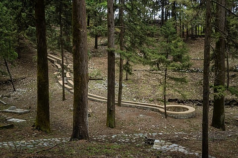 Inside Pines Cemetery, Uttarakhand