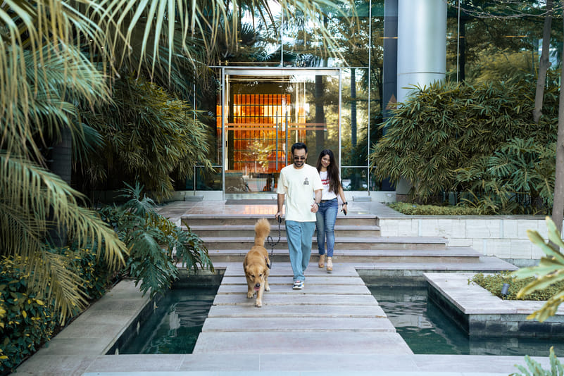 The place welcomes both cats and dogs