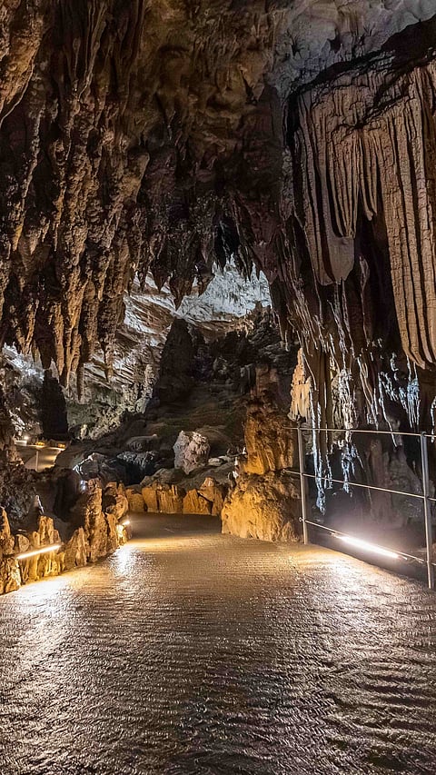 Škocjan Caves