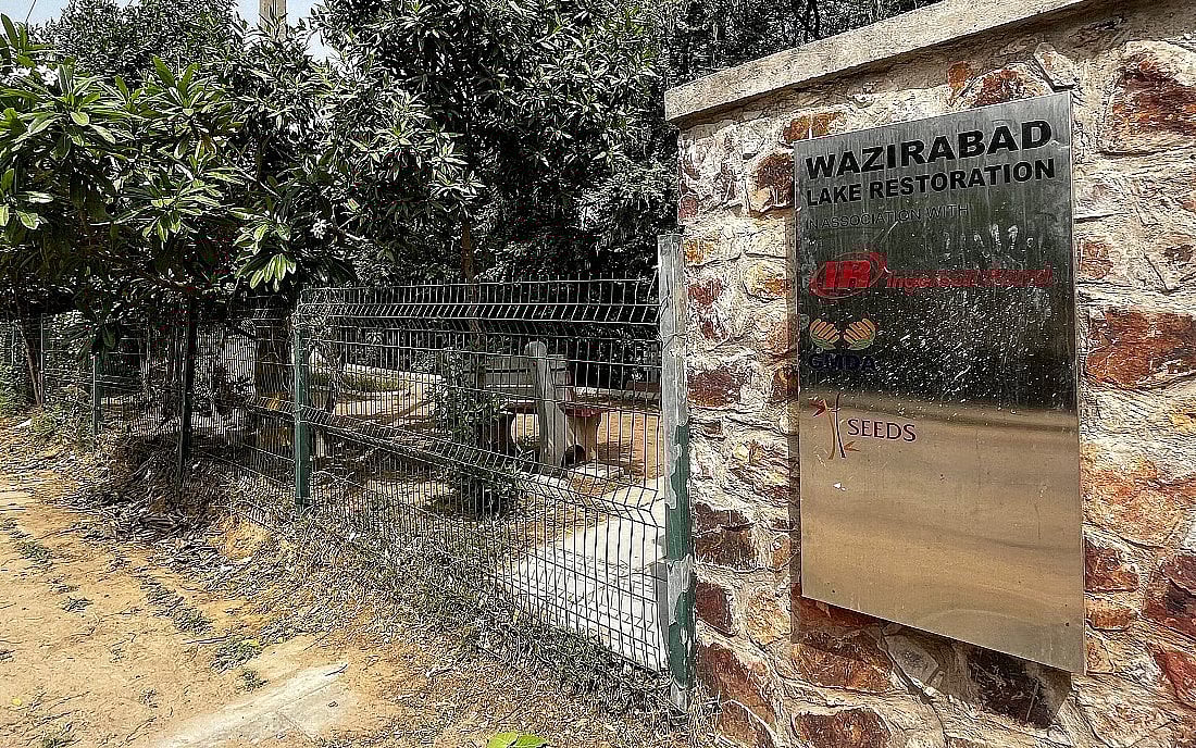 Wazirabad Lake restoration