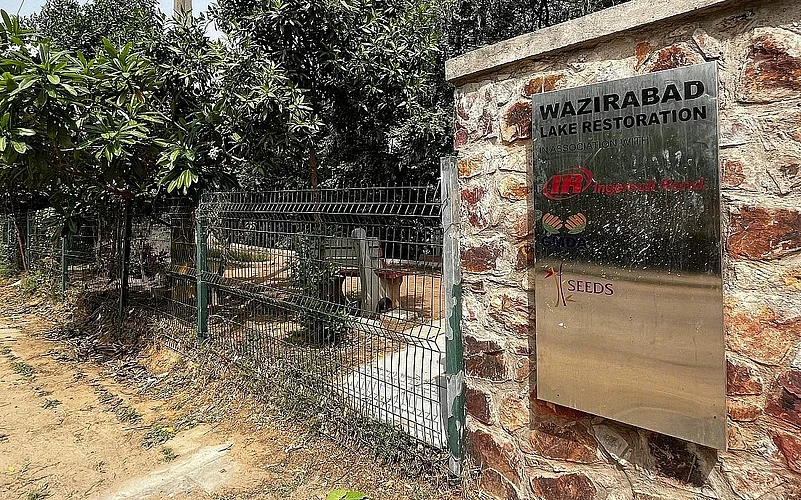 Wazirabad Lake restoration