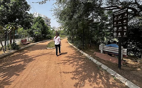 Inside Wazirabad Lake premises