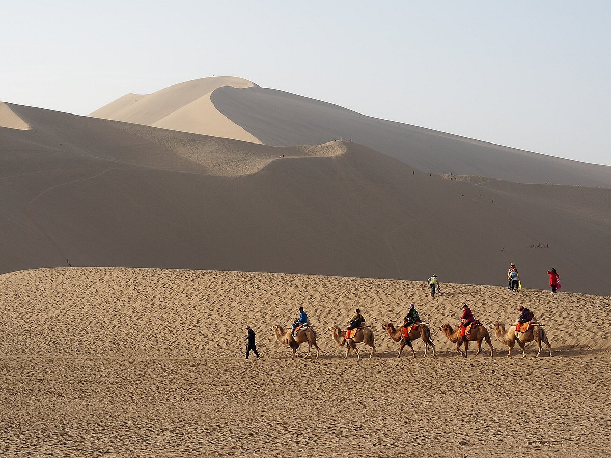  A lot of camps are closely tied to nearby nomadic communities