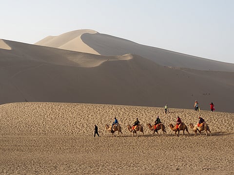  A lot of camps are closely tied to nearby nomadic communities