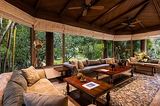 Supplied : At Taj Corbett, the forest tells more than one story