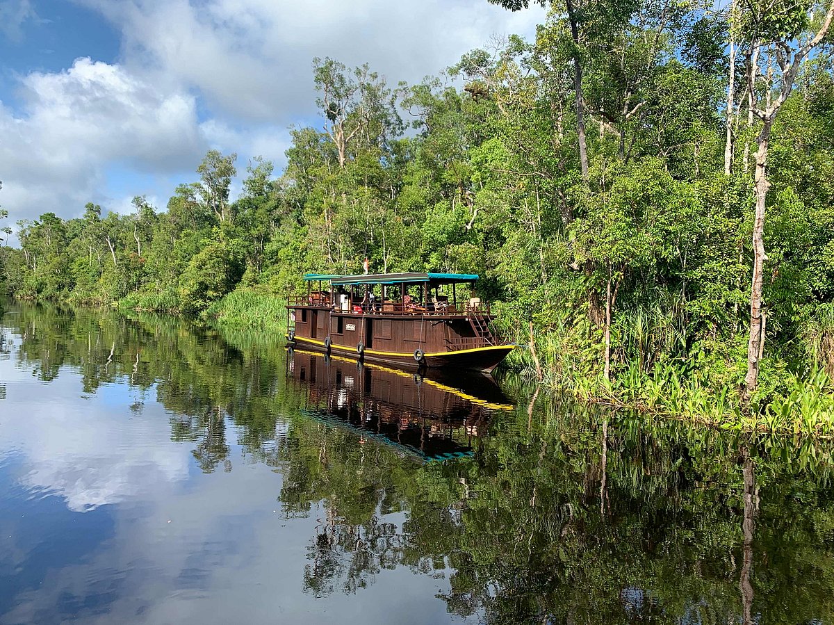 River safari boat in Tanjung Puting National Park