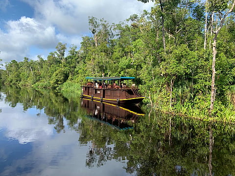 River safari boat in Tanjung Puting National Park