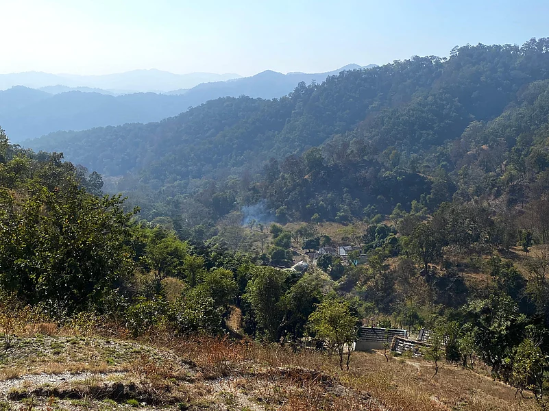 The view from the top of the Man-eater of Mohan trail
