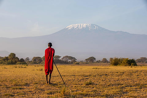 A member of the Maasai community walks across the savanna with Mount Kilimanjaro in the backdrop